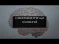 History of neuroscience | Cognitive Neuroscience