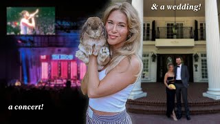 Spend a *Chaotic* Week with My Rabbit & Me!