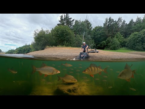 How to Fish The Whip. Fishing Tips 2025