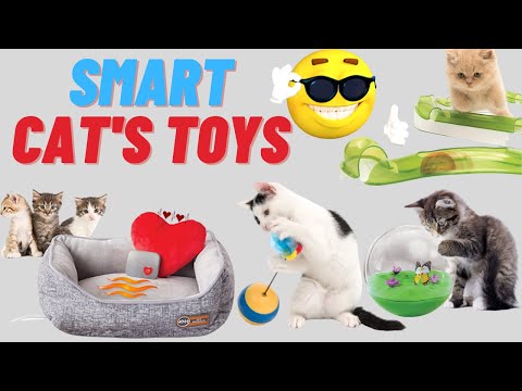 Best Toys for Cats to play alone|| Best Toys for Cats home alone| 5-Minute Crafts