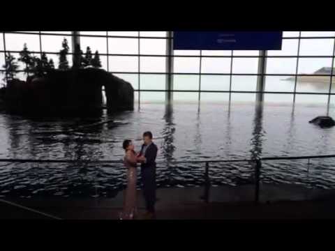 Do I Love You - Rodgers and Hammerstein's Cinderella 1st National Tour