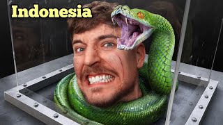 Download lagu Face Your Biggest Fear To Win $800,000 | MrBeast Indonesian Dubbed mp3