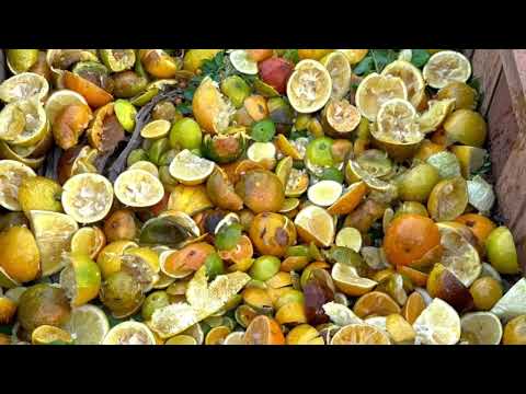 農業零碳排，生活更精彩