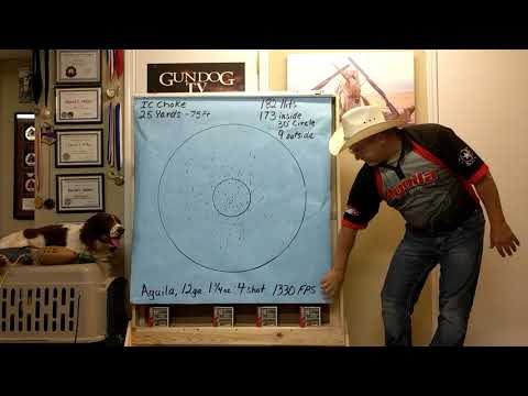 Pheasant Hunting Tips - Shot versus Yardage