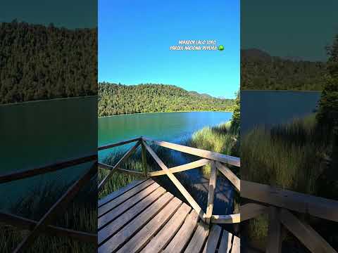 Mirador lago toro puyehue