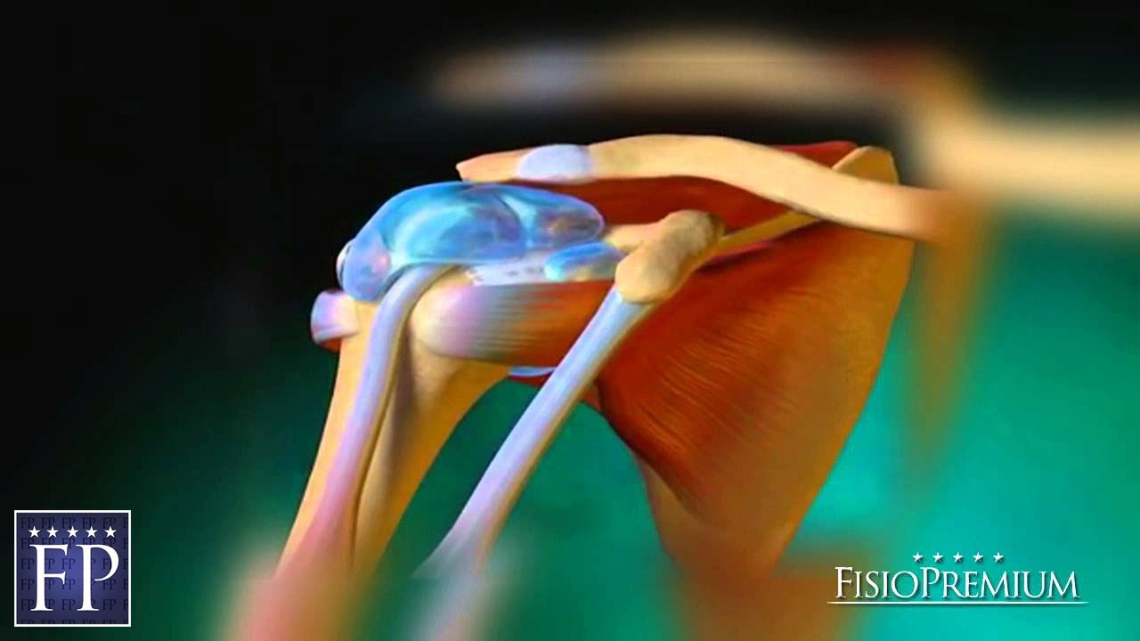 Marcus Vinicius Santos Martins-13