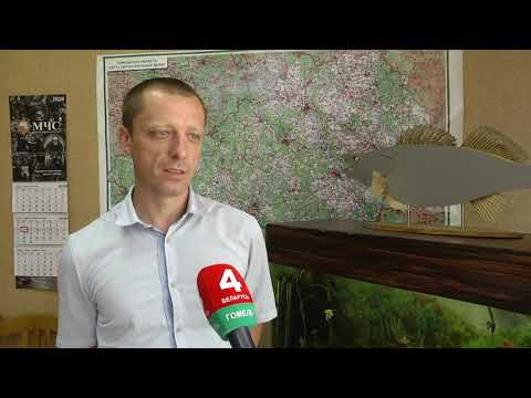 У Гомельскім раёне патануў падлетак видео