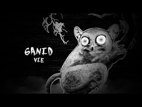 VIE - GANID feat. Ian Tayao (LYRIC VIDEO)
