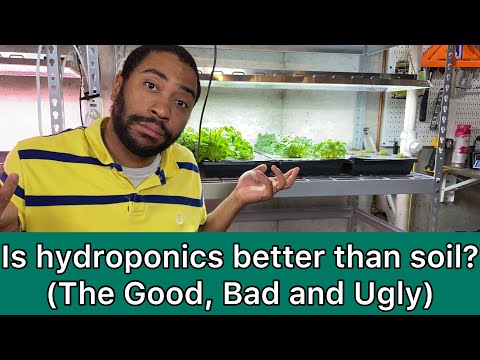 is hydroponic better than soil? (The answer may surprise you)