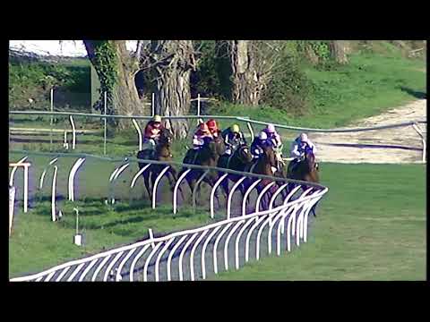 Galoppo 14/12/2020 - 3ª corsa