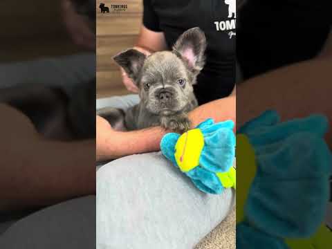 Video 1