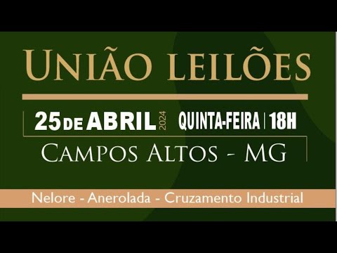 UNIÃO LEILÕES - CAMPOS ALTOS MG