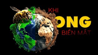 Ong Biến Mất: Ai Mới Là Kẻ Gặp Nguy?