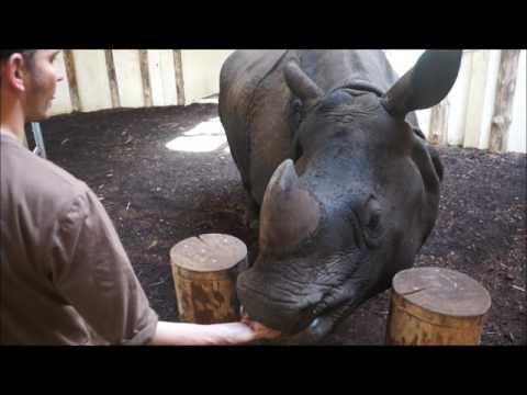 ZOO na ratunek ssakom Indii