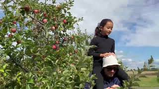 Apple picking 🍎 & Pumpkin patch 🎃