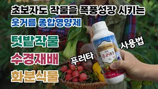 수경재배 식물 영양제 사용법 밭작물 웃거름 비료 주는 방법 푸러타 물푸레 양액 사용방법