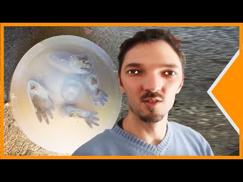 🟢 METTRE UN CRAPAUD DANS DU SILICONE