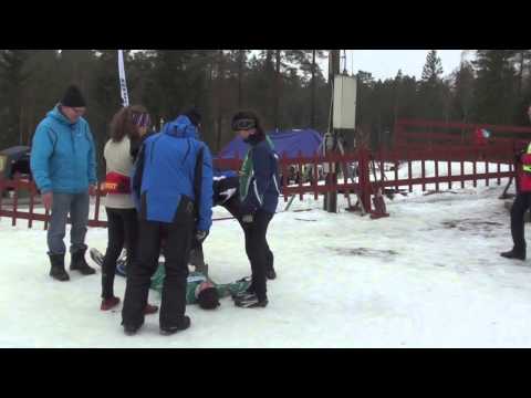 FSSM i Pargas 9.2.2014 - damernas och herrarnas stafetter