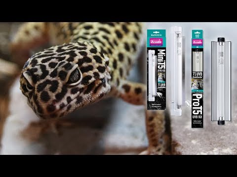 Светильник для геконов, змей, насекомых, амфибий