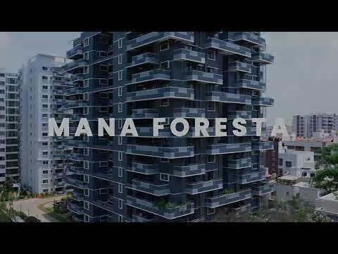 3D Tour Of Mana Foresta