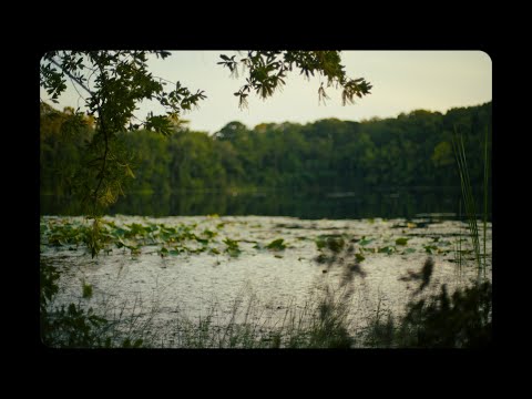 Ursa Cine 12k LF Footage - At the Park