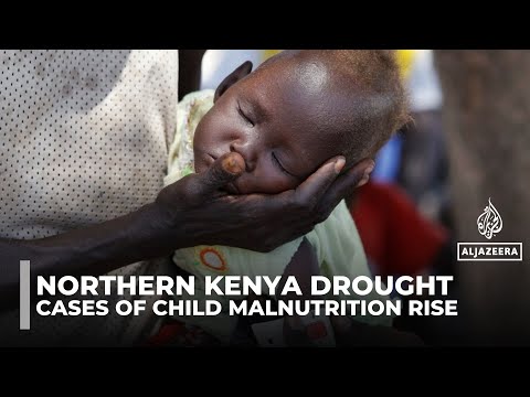Northern Kenya faces severe child malnutrition crisis driven by prolonged droughts