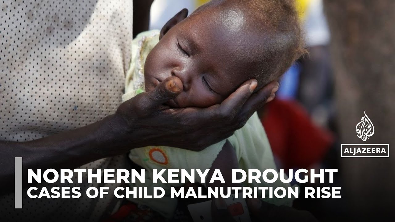 Northern Kenya faces severe child malnutrition crisis driven by prolonged droughts