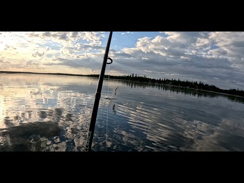 Sunset Summer Fishing! - Emma Lake Mashup