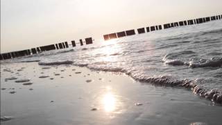 Deine Worte sind stumm Music Video