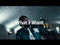 Zach Diamond - What I Want (Official Video)