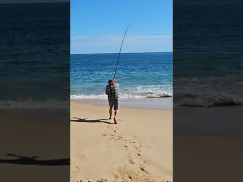 You must do this to cast long distances to reach huge #fish #fishing #beach
