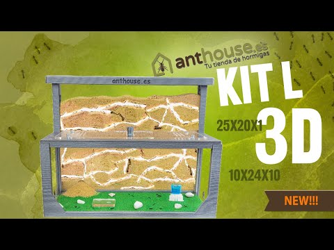Kit L 3D the definitive SAND antfarm!