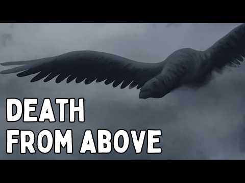 The Largest Bird To Ever Fly