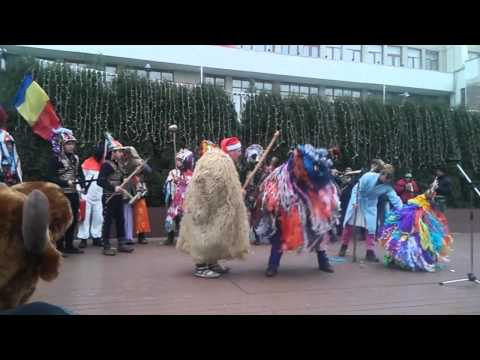 Capra Lipova la Vaslui festival