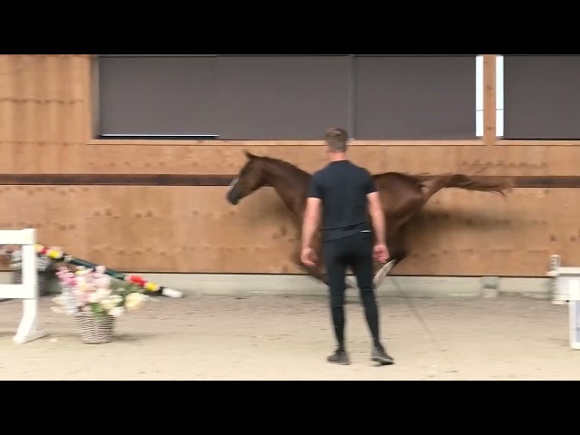 jumping