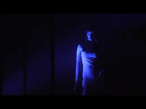 Helena Patricio - Into the Night (Tribute to Julee Cruise)