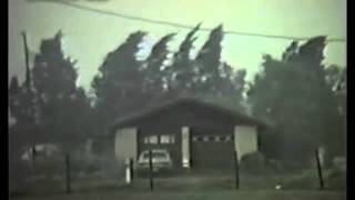 "A Quiet Place" Breakfast in Fur