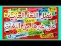 أكثر 10 لغات تأثرت باللغة العربية