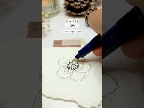 Day 229 drawing flowers every day for a year 💐🥰