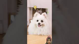 Download lagu S!r4m b4ju‼️#trendingshorts #trendingvideo #trending #shorts #shortsviral #viralshorts #fyp #viral mp3