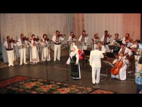 NINA ERMURACHI -FLORI DE ROMANITA