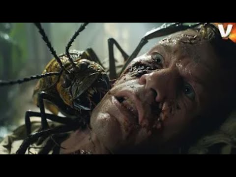 ¡Atrapados en el Hielo! | Acción Pelicula Completa Español Latino