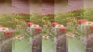 Caroline Spence - I Know You Know Me Ft Matt Berninger video