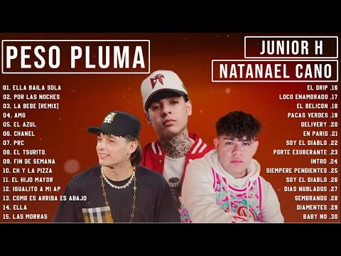 Peso Pluma, Natanael Cano, Junior H - Grandes éxitos Mix 2024 - LAS MEJORES CANCIONES 2024