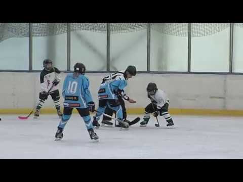 U12-es jégkorong: Ajkai Óriásik - Ferencvárosi TC B - TV Ajka 2017.11.01.