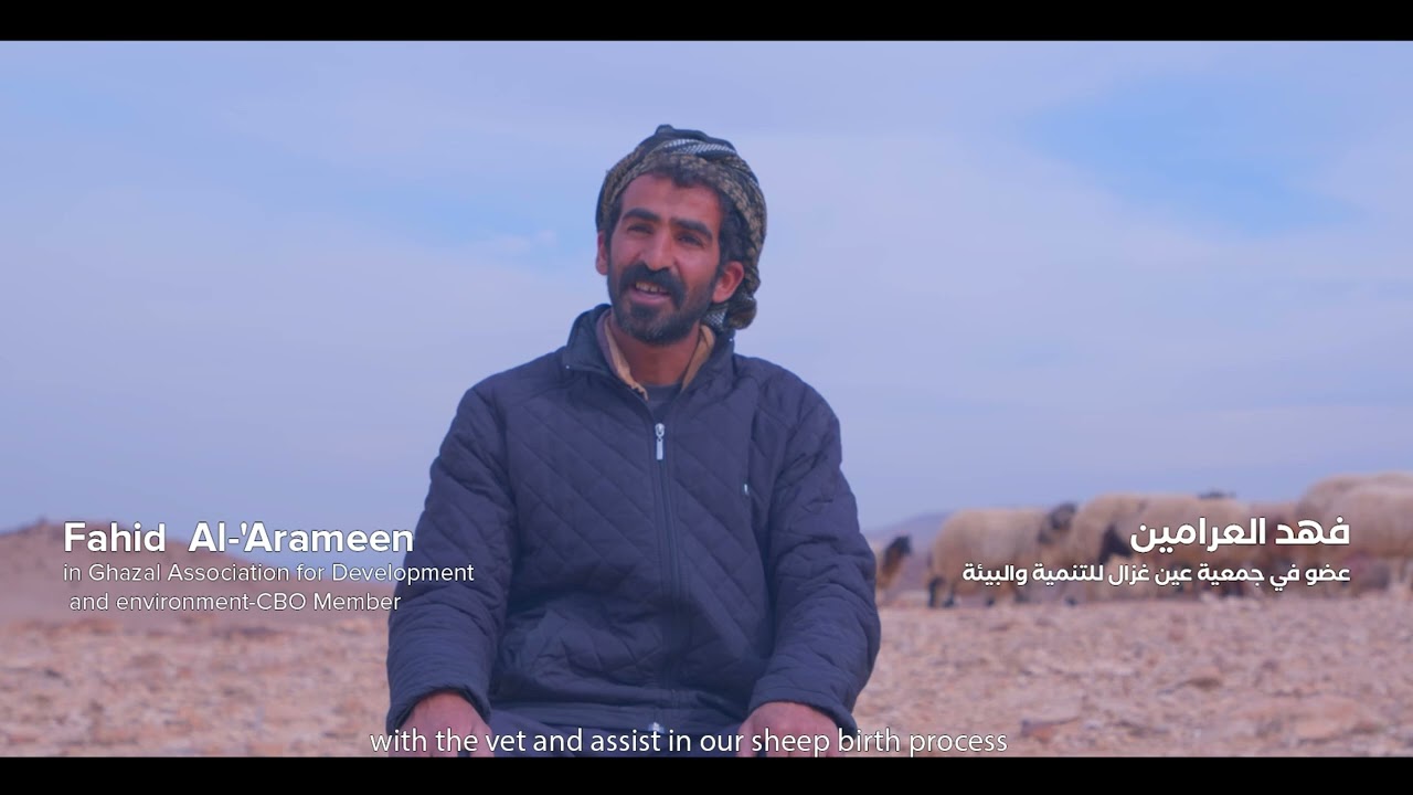 Roman Olive Tree Conservation in Jordan
