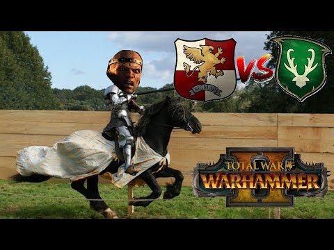 Empire vs Wood Elves  | THE KNIGHTS OF THE EMPIRE - Total War Warhammer 2