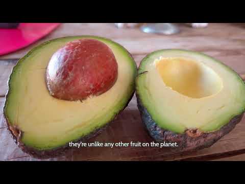 Unlocking Nature's Superfoods  A Guide to Nutrient Dense Eating for Better Health