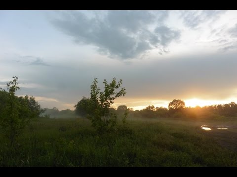 Why i completed TD-15 260 Task on Object 268