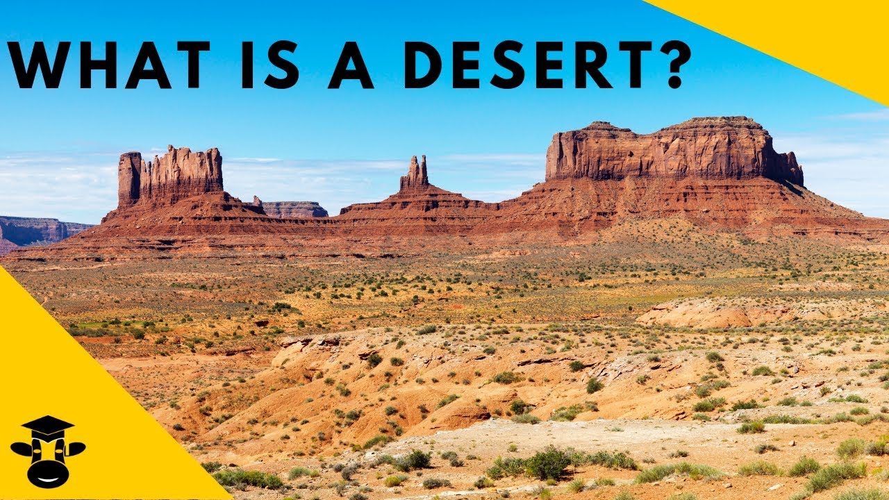 Is a desert considered an ecosystem?